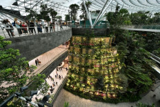 F&B outlets, waterfall a big draw for visitors at Jewel Changi Airport