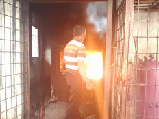 Shelter offers novel ways for Jakartans to say goodbye to dead pets