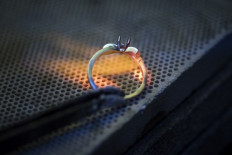 The ethical gold rush: Gilded age for guilt-free jewelry