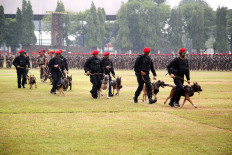 US, Indonesia agree to resume training for Kopassus