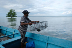 Daily hustle: Salma Tatua deploys a Kerambat (traditional crab net) in the waters off Babo Island in Teluk Bintuni regency, West Papua. JP/Jerry Adiguna