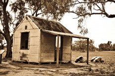 ‘Boundless Plains’: Retracing Australian Muslims’ history 