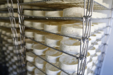 Cheese fans raise a stink over plans for pasteurized camembert