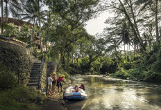River rafting and checking-in: A new holiday experience at Four Seasons Resort Sayan