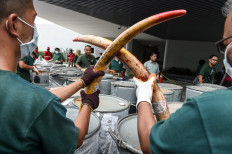 Malaysia destroys almost four tonnes of ivory