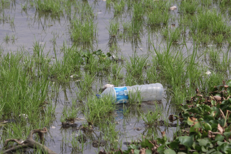 A photo exhibited to commemorate World Migratory Bird Day in Gorontalo depicts a plastic bottle in Lake Limboto, located in the province. The photo exhibition highlighted the latest environmental conditions of the lake, which has been listed as an endangered site.