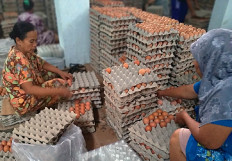 Ministry records surpluses of meat, eggs throughout Ramadan