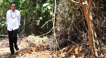 Jokowi ponders two 'hills' in Kalimantan for new capital