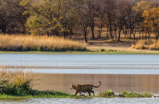 World's 15 hottest places are in India, Pakistan as pre-monsoon heat builds