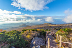 2 tons of garbage, dumped 30 years ago, found on Jeju Island