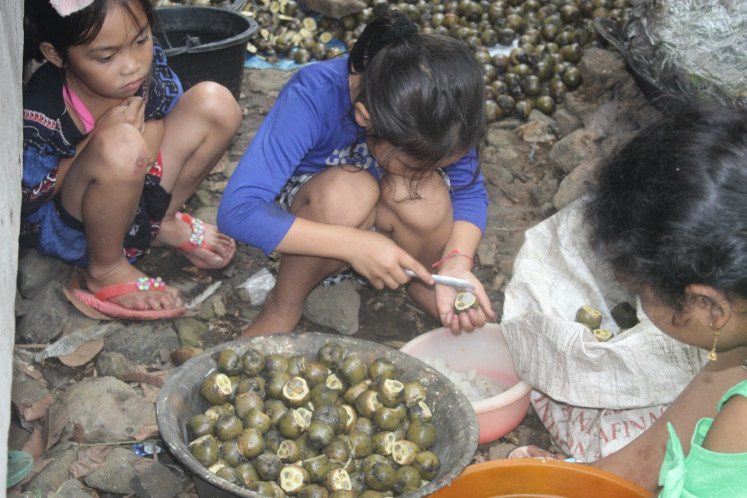 Peel pals: Local children of Sipirok district peel the skin of neera tree fruits.