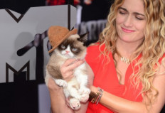 Grumpy Cat, the face that launched a thousand memes, dead at seven