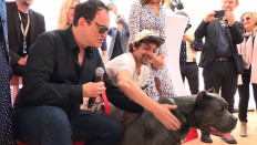 Tarantino's Hollywood hound takes home Palm Dog award