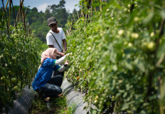 Agritech start-up TaniGroup secures US$10 million Series A funding