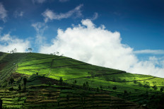 Five places to explore in Brebes for Idul Fitri