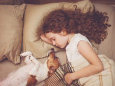 Human-animal co-sleeping means comfort, love and warmth – for both human and pet. 