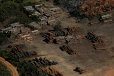 Piles of wood are seen during 'Operation Green Wave' conducted by agents of the Brazilian Institute for the Environment and Renewable Natural Resources, or Ibama, to combat illegal logging in Apui, in the southern region of the state of Amazonas, Brazil, July 27, 2017. 