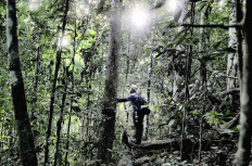 Collaborative action for a 'forest positive' future