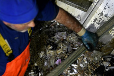 In this photograph taken on May 23, 2019, a fishermen recovers plastic waste from a fishing net onboard a fishing boat off the coast of San Benedetto del Tronto.