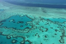 Australia approves vast coal mine near Great Barrier Reef