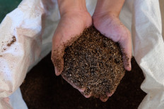 Sustainable protein producer Magalarva secures $500k in funding