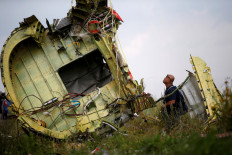 A Malaysian air crash investigator inspects the crash site of Malaysia Airlines Flight MH17, near the village of Hrabove (Grabovo) in Donetsk region, Ukraine, July 22, 2014. 