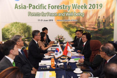 K-Pop stars to help Indonesia save our forests: Minister