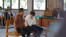 Russian man sentenced to one year in prison for attempting to smuggle orangutan