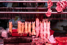  China mulls dipping into pork reserves to rein in costs 