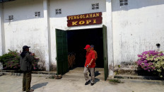 145-year-old Blitar coffee plantation lures tourists with colonial history, internship opportunity