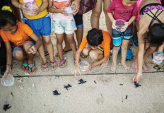 'It's rare to find a Nyoman or Ketut': Bali tells parents to have third, fourth child