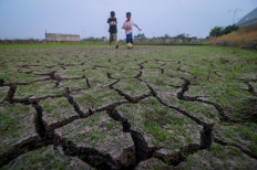Nearly 100 regencies, cities face crop failure due to drought