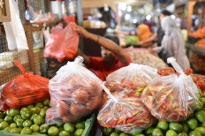 Life without plastics