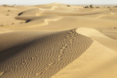 The magical landscape of the Thar Desert. JP/Irene Barlian