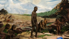 Human fossils, 300,000 years older than Sangiran man, found in Bumiayu