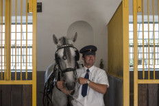 Oldest Czech stud farm gallops onto UNESCO list