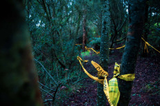 Elderly woman missing for six days found alive in forest