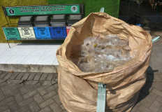 For Indonesian enterprises, green is the new black