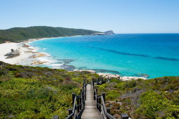 Western Australia lures Indonesian tourists with truffles, wildflower festival