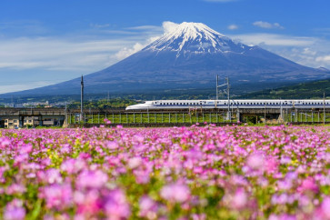 JR-West rail passes now available on Traveloka