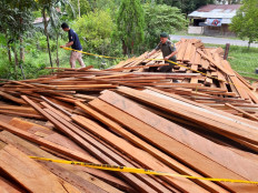 Fight against illegal logging could be cut back by mobility restrictions: NGO