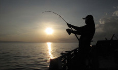 Morotai festival to present watersports, culinary activities