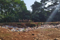 Roaming deer in South Jakarta causes social media commotion 