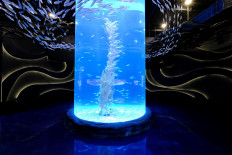 Jakarta Aquarium offers modern, ‘edutaining’ experience