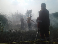 South Sumatra forest fire task force members try to extinguish a fire on peatland.  