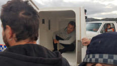Australia detains French TV crew filming anti-coal protest