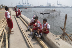 Giant seawall may cause bigger problems: Activists