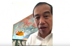 Jokowi shares daily 'jamu' recipe that keeps him healthy