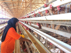 Consumer prices fall in September on cheaper foods