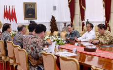 If the watchman is restrained, investors flee